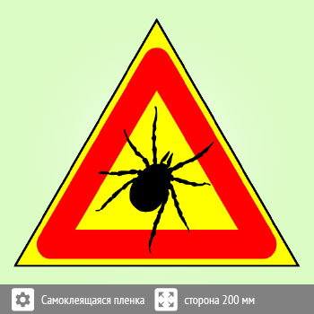 ���� �������! �����, B100 (������, ������� 300 ��)