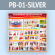 ����� ��������� ������������� (PB-01-SILVER)